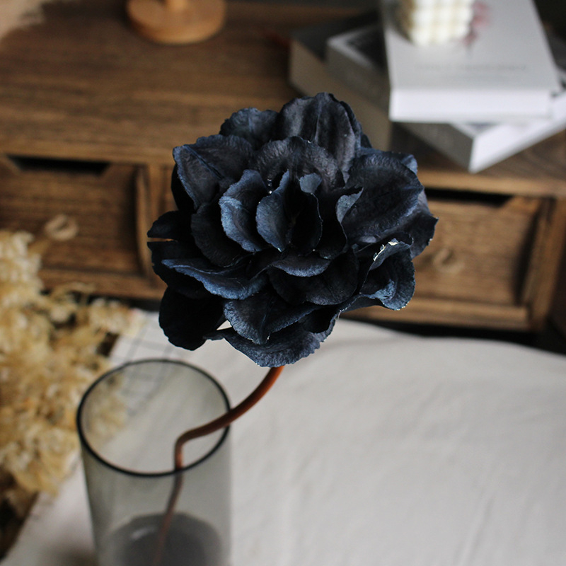 Paeonia száraz virágok csokorhoz, festetlen