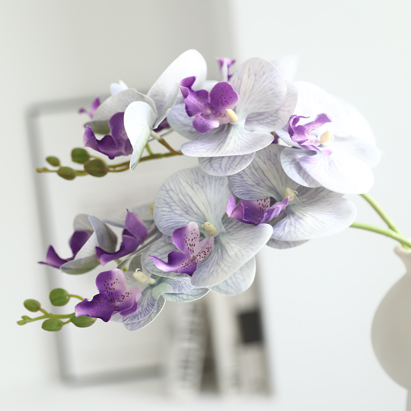 Dalisen Umjetna Phalaenopsis cvijet od svile; marka: Dalisen; materijal: svila; sorta: Phalaenopsis; izrada: Drugo; namjena: Drugo