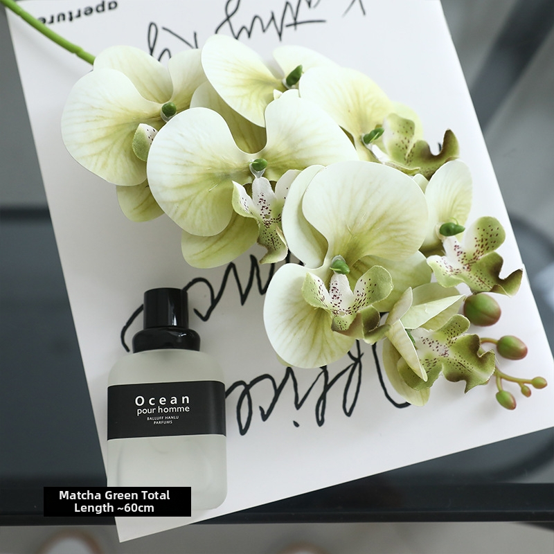 Dalisen Umjetna Phalaenopsis cvijet od svile; marka: Dalisen; materijal: svila; sorta: Phalaenopsis; izrada: Drugo; namjena: Drugo