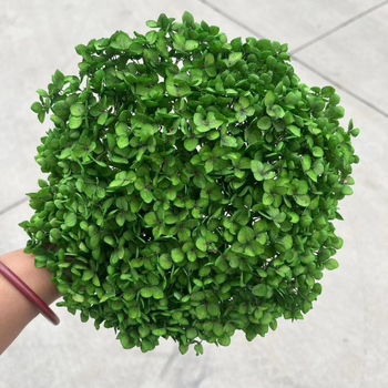 Вечен букет хидрангея — Mist Preserved Flowers, вечни цветя, произход: Юнан