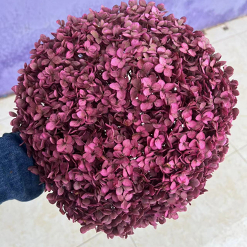 Вечен букет хидрангея — Mist Preserved Flowers, вечни цветя, произход: Юнан