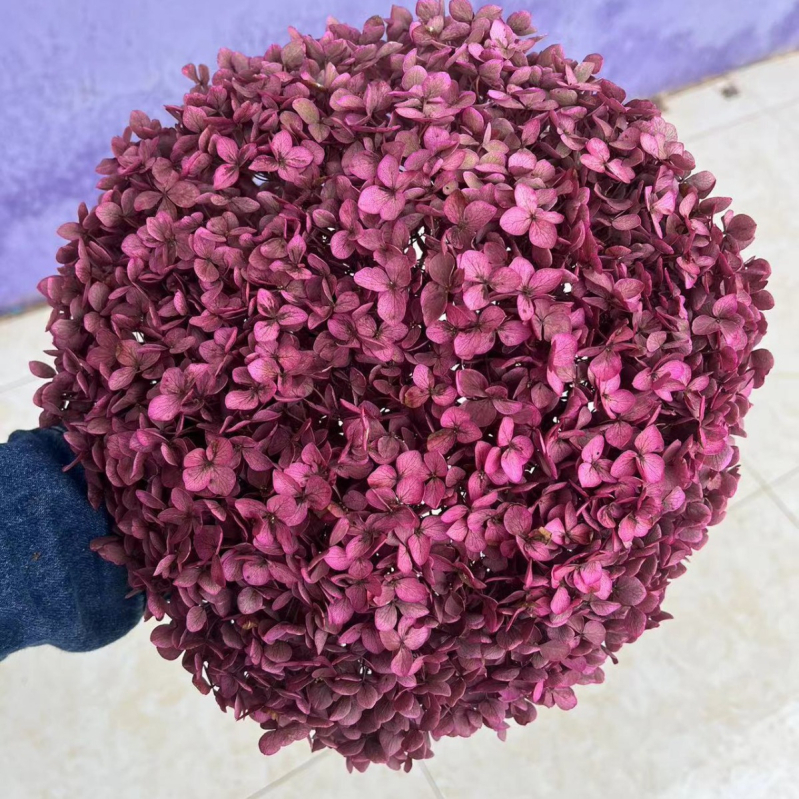 Вечен букет хидрангея — Mist Preserved Flowers, вечни цветя, произход: Юнан
