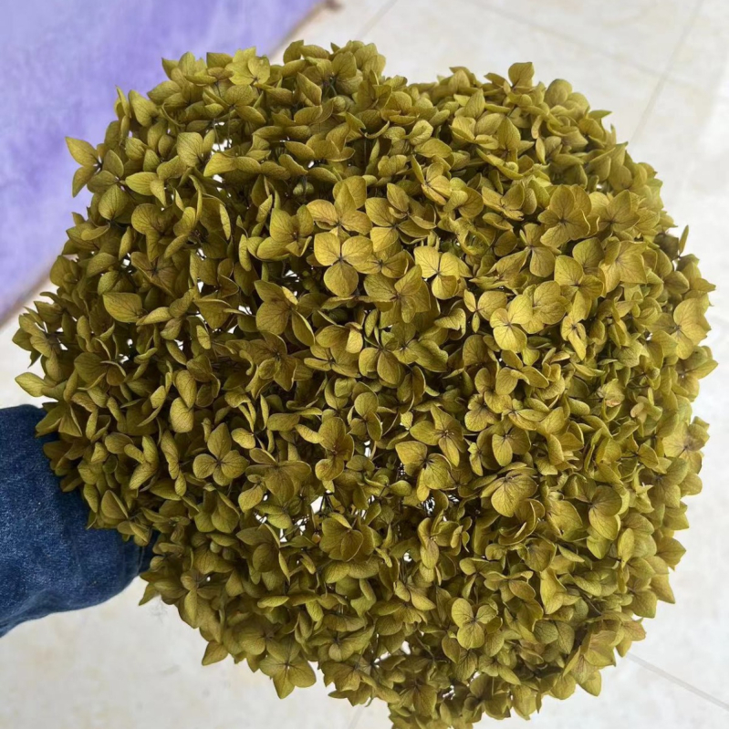 Вечен букет хидрангея — Mist Preserved Flowers, вечни цветя, произход: Юнан