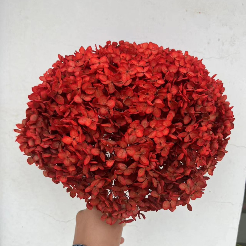 Вечен букет хидрангея — Mist Preserved Flowers, вечни цветя, произход: Юнан