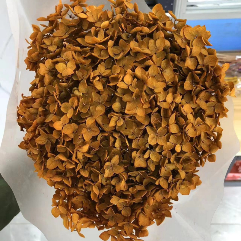 Вечен букет хидрангея — Mist Preserved Flowers, вечни цветя, произход: Юнан