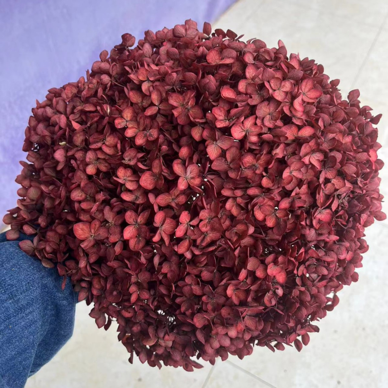 Вечен букет хидрангея — Mist Preserved Flowers, вечни цветя, произход: Юнан