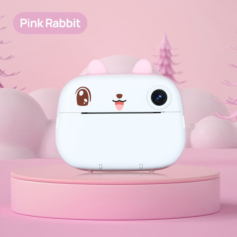 Lastele mõeldud mini Polaroid-kaamera HD kahe objektiiviga, prindib fotosid, TF-kaardi salvestus, mudel M05