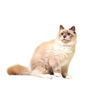 Котешка тоалетна кутия - напълно затворена, с издърпващ се горен модул, анти-арома, анти-разпръскване, двуслойна, PVC