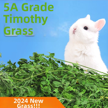 Vlhká strava z lucerny pre dospelé zajce, morčatá a činčily