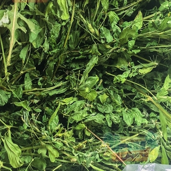 Мокра храна с люцерна за възрастни зайци, морски свинчета и чинчили