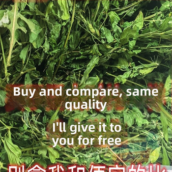 Vlhká strava z lucerny pre dospelé zajce, morčatá a činčily