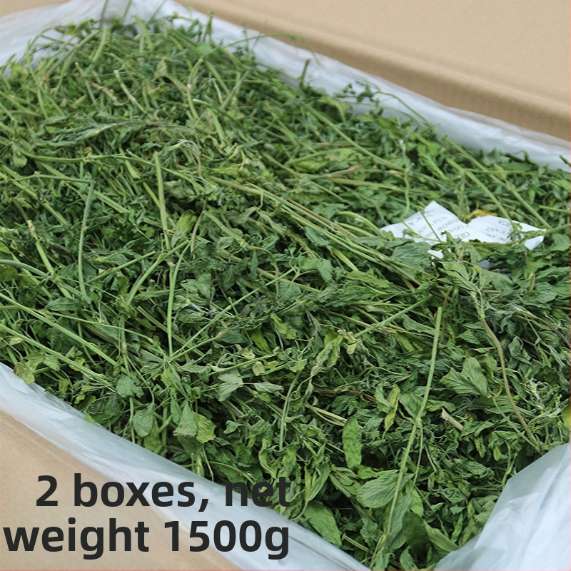 Vlhká strava z lucerny pre dospelé zajce, morčatá a činčily