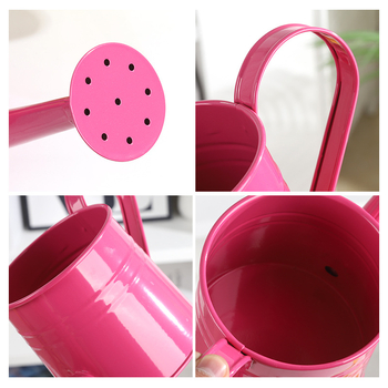 Kované železné záhradné zavlažovacie kanvičky, roztomilý dizajn (Materiál: Železo; Značka: Fool beauty; Aplikácia: Domáca záhrada)