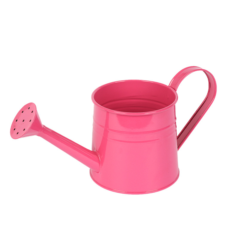 Kované železné záhradné zavlažovacie kanvičky, roztomilý dizajn (Materiál: Železo; Značka: Fool beauty; Aplikácia: Domáca záhrada)