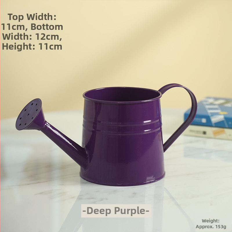 Kované železné záhradné zavlažovacie kanvičky, roztomilý dizajn (Materiál: Železo; Značka: Fool beauty; Aplikácia: Domáca záhrada)