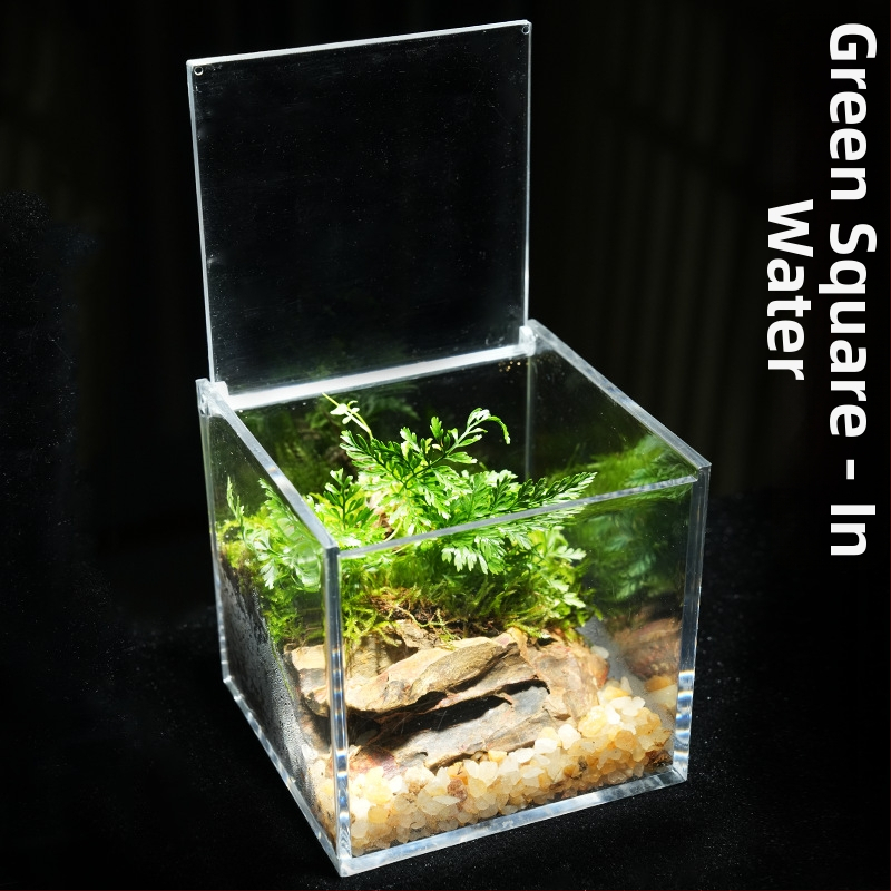 Φυτό γραφείου με μικρο-τοπιογραφία από βρύα – ακρυλικό, στυλ λιβαδιού, χειροποίητο, αφρώδες κουτί συσκευασίας, έτοιμο για δώρο