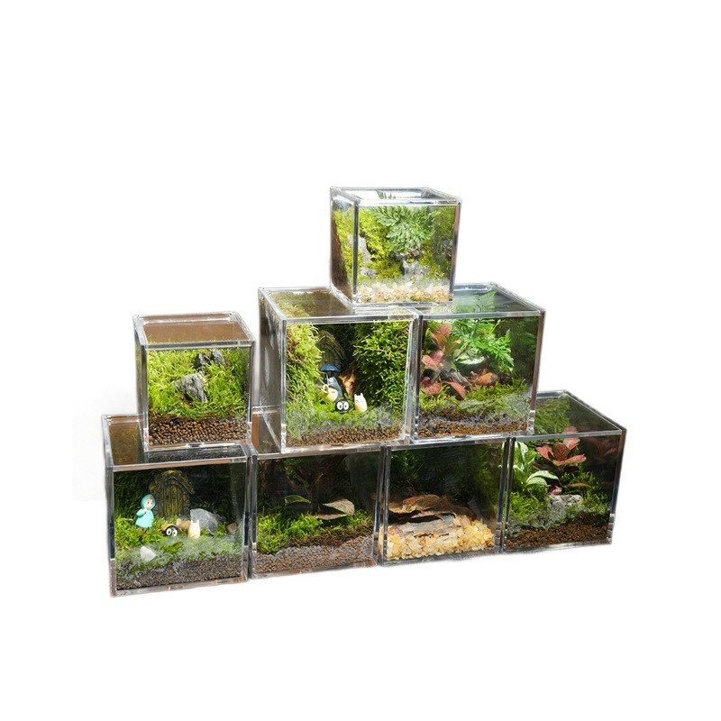 Φυτό γραφείου με μικρο-τοπιογραφία από βρύα – ακρυλικό, στυλ λιβαδιού, χειροποίητο, αφρώδες κουτί συσκευασίας, έτοιμο για δώρο