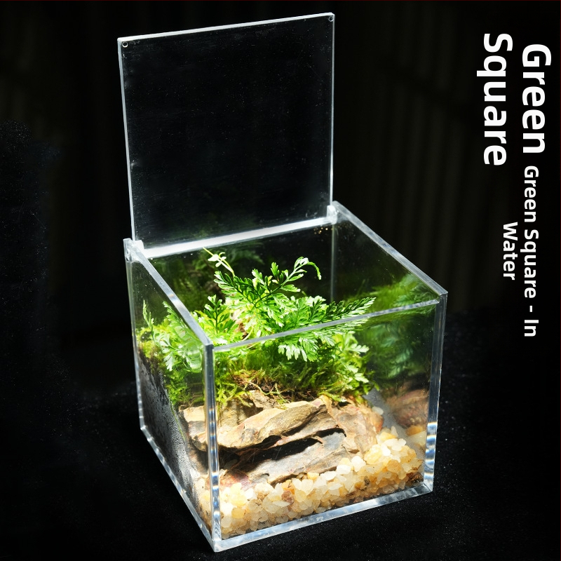 Φυτό γραφείου με μικρο-τοπιογραφία από βρύα – ακρυλικό, στυλ λιβαδιού, χειροποίητο, αφρώδες κουτί συσκευασίας, έτοιμο για δώρο