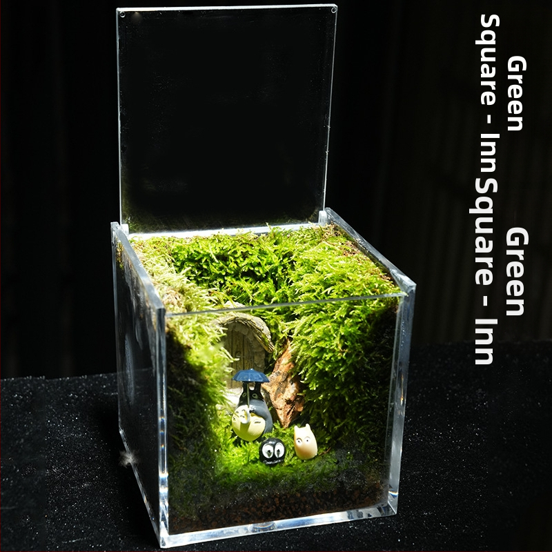 Φυτό γραφείου με μικρο-τοπιογραφία από βρύα – ακρυλικό, στυλ λιβαδιού, χειροποίητο, αφρώδες κουτί συσκευασίας, έτοιμο για δώρο