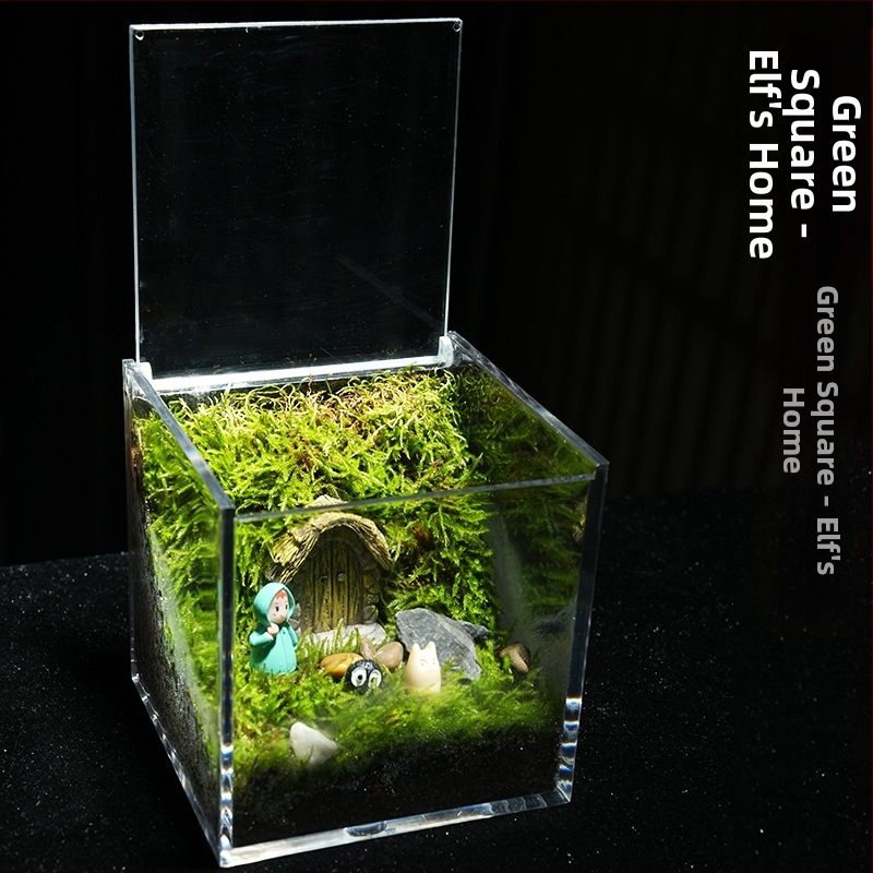 Φυτό γραφείου με μικρο-τοπιογραφία από βρύα – ακρυλικό, στυλ λιβαδιού, χειροποίητο, αφρώδες κουτί συσκευασίας, έτοιμο για δώρο