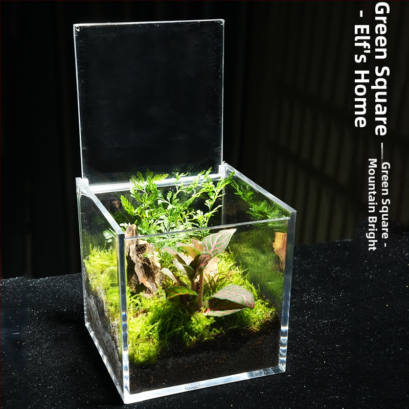 Φυτό γραφείου με μικρο-τοπιογραφία από βρύα – ακρυλικό, στυλ λιβαδιού, χειροποίητο, αφρώδες κουτί συσκευασίας, έτοιμο για δώρο