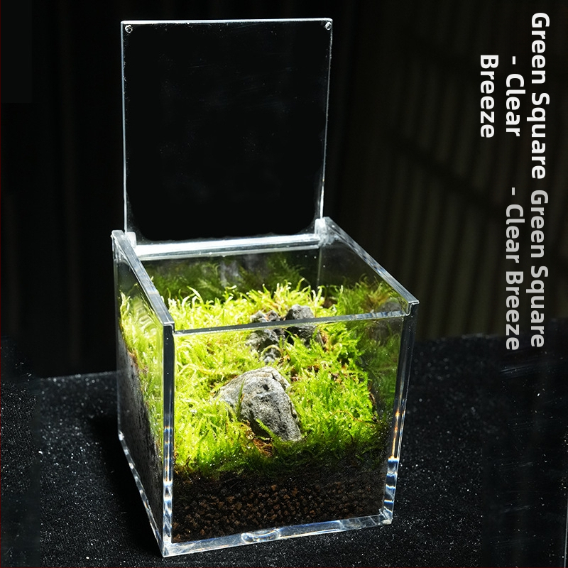 Φυτό γραφείου με μικρο-τοπιογραφία από βρύα – ακρυλικό, στυλ λιβαδιού, χειροποίητο, αφρώδες κουτί συσκευασίας, έτοιμο για δώρο