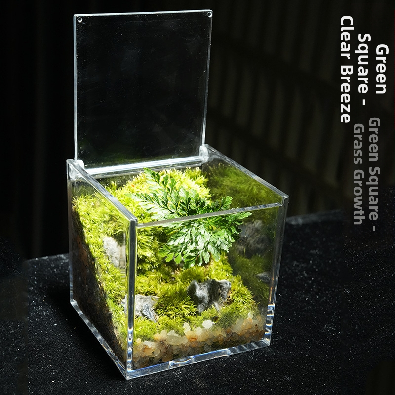 Φυτό γραφείου με μικρο-τοπιογραφία από βρύα – ακρυλικό, στυλ λιβαδιού, χειροποίητο, αφρώδες κουτί συσκευασίας, έτοιμο για δώρο