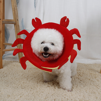 Elizabethán védő kutya gallér — Ji Tsai, poliészter, általános használat