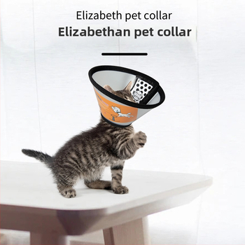 Guler Elizabethan pentru pisici și câini, protecție postoperatorie, cap de protecție împotriva zgârieturilor și mușcăturilor, Material PP/PE; Categoria Elizabeth Circle; Ambalare 100 buc.; Etichetă privată licențiată; Brand: Very good brand