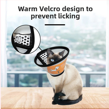 Guler Elizabethan pentru pisici și câini, protecție postoperatorie, cap de protecție împotriva zgârieturilor și mușcăturilor, Material PP/PE; Categoria Elizabeth Circle; Ambalare 100 buc.; Etichetă privată licențiată; Brand: Very good brand