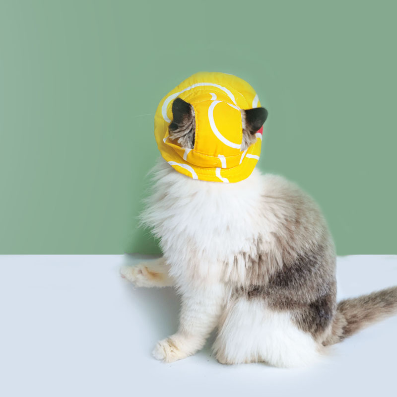 Pălărie de pescar pentru animale de companie (pisici și câini), model Cartoon, poliester twill, vară, protecție solară în exterior