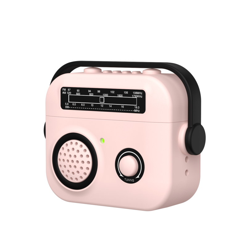 Zaštitna maska za AirPods Pro 2 — silikon, injekcijsko prešivanje, prozirna/mat završnica, kompatibilna s Apple