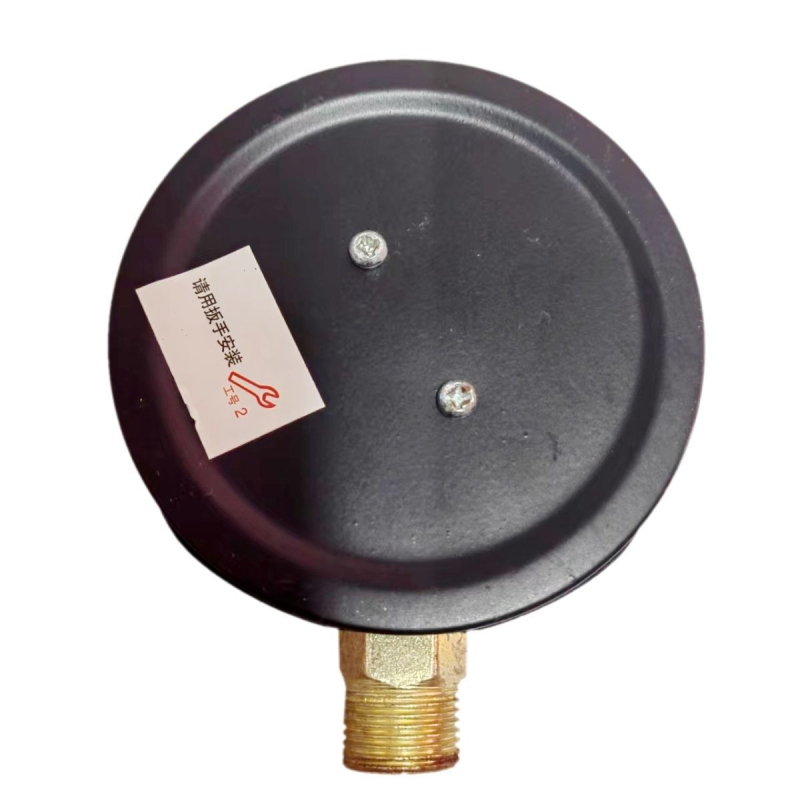 Y100 Διαφραγματικός Μετρητής Πίεσης για Θέρμανση Δαπέδου