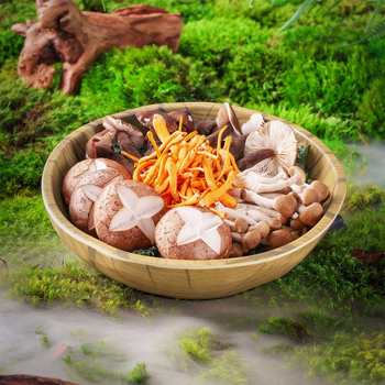 Oval mély tál melaminból, nordic stílus, egyszínű felület alul-glazúros befejezéssel, logó nyomtatás és testreszabás elérhető, szállodai és étkezési felhasználásra, nem mikrohullámú sütőben használható