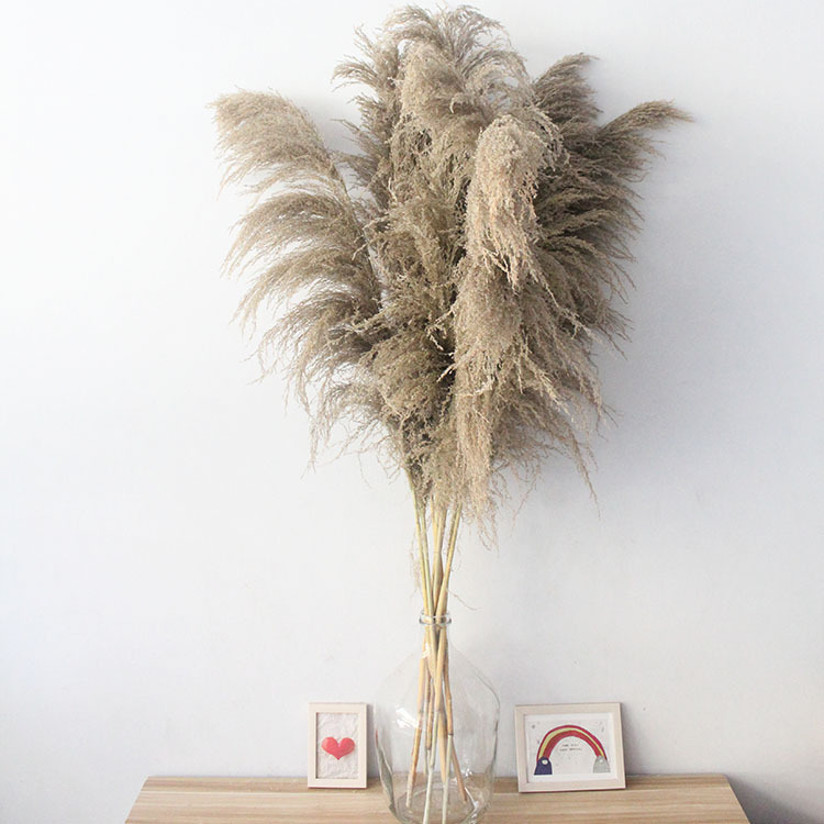 Голям букет сушени тръстикови цветя, марка Flower Bella Flowers, композиции от сушени цветя