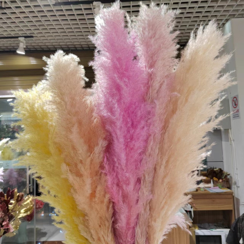 Голям букет сушени тръстикови цветя, марка Flower Bella Flowers, композиции от сушени цветя