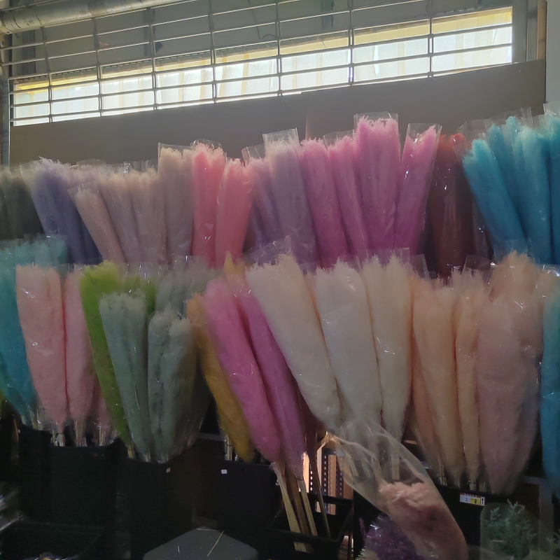 Голям букет сушени тръстикови цветя, марка Flower Bella Flowers, композиции от сушени цветя