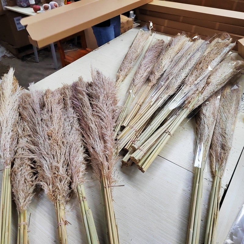 Голям букет сушени тръстикови цветя, марка Flower Bella Flowers, композиции от сушени цветя