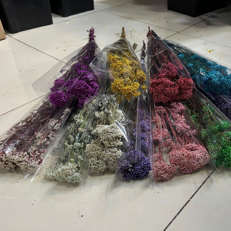 100 g buket sušenih i trajnih cvjetova za aranžiranje, dekorativni materijali za DIY