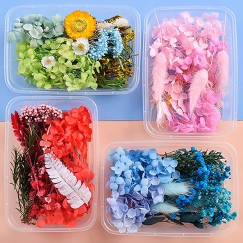 Kutija za poklon sa sušenim i vječnim ružama – ručno izrađeni DIY materijali, okvir za fotografiju, staklena kapica