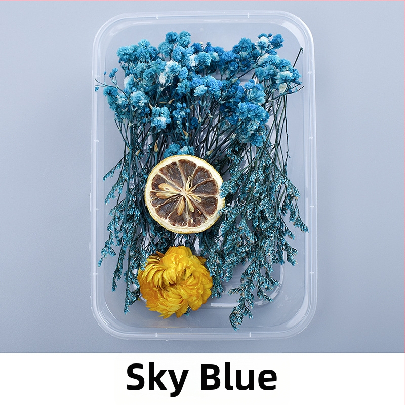 Kutija za poklon sa sušenim i vječnim ružama – ručno izrađeni DIY materijali, okvir za fotografiju, staklena kapica