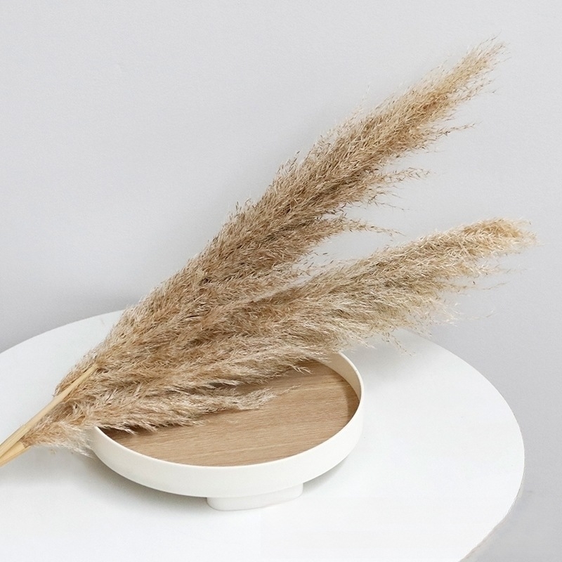 Száraz virágokból álló esküvői dekorációs készlet északi stílusban – GHC-018, Elegant Lover