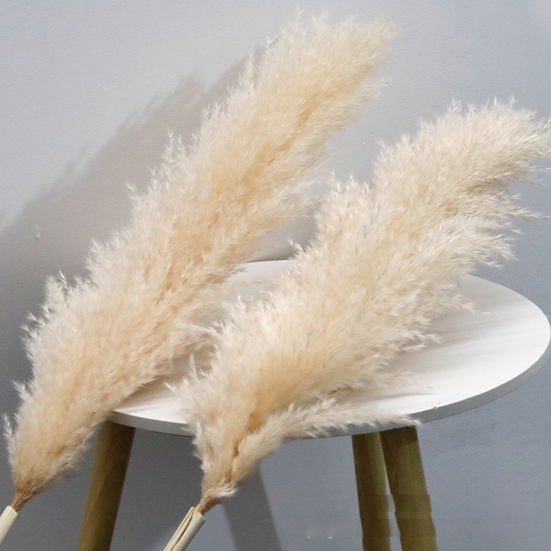 Száraz virágokból álló esküvői dekorációs készlet északi stílusban – GHC-018, Elegant Lover