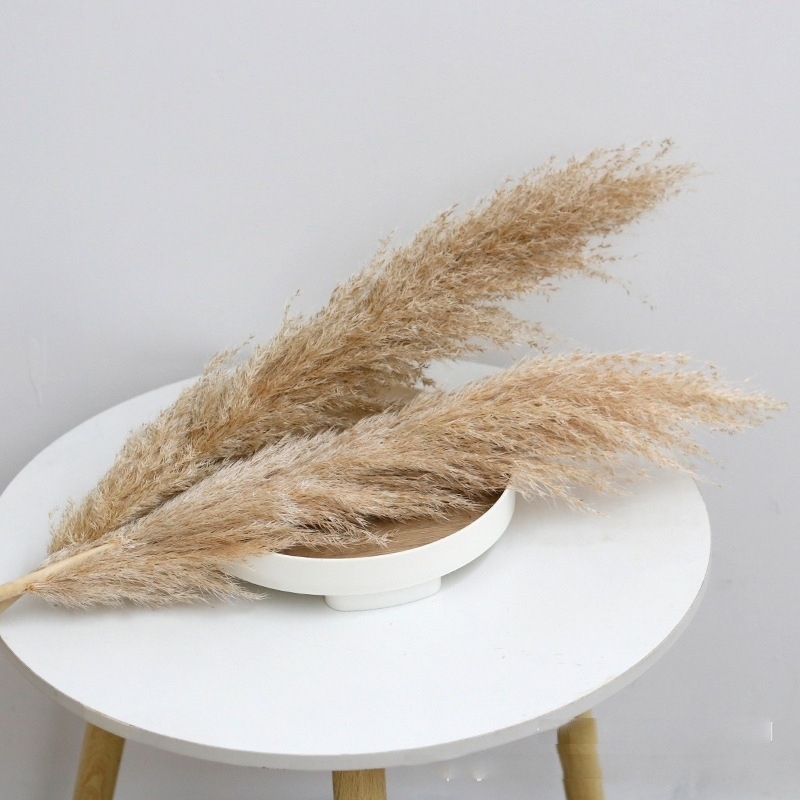 Száraz virágokból álló esküvői dekorációs készlet északi stílusban – GHC-018, Elegant Lover