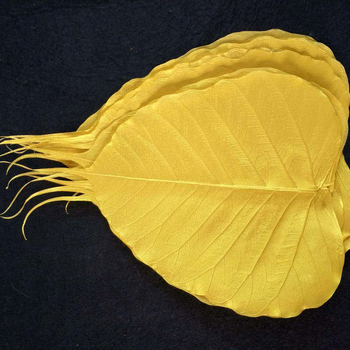 Bodhi list so žilami – sušený list so žilami, nezafarbený, určený na nástennú dekoráciu a materiál na záložku