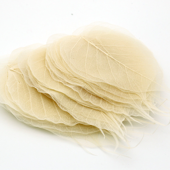 Bodhi list so žilami – sušený list so žilami, nezafarbený, určený na nástennú dekoráciu a materiál na záložku