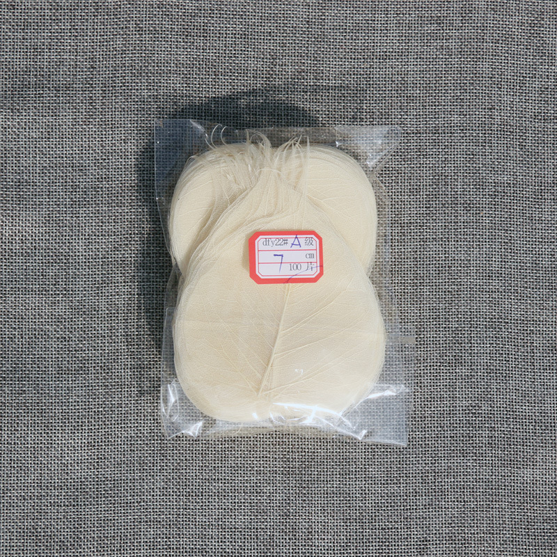 Bodhi list so žilami – sušený list so žilami, nezafarbený, určený na nástennú dekoráciu a materiál na záložku