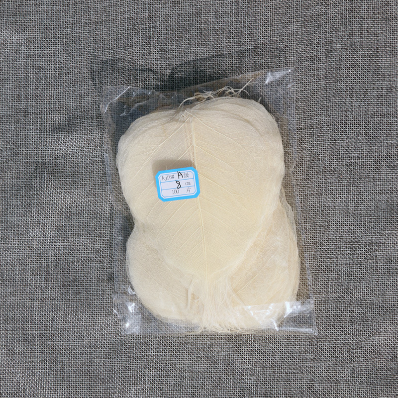 Bodhi list so žilami – sušený list so žilami, nezafarbený, určený na nástennú dekoráciu a materiál na záložku