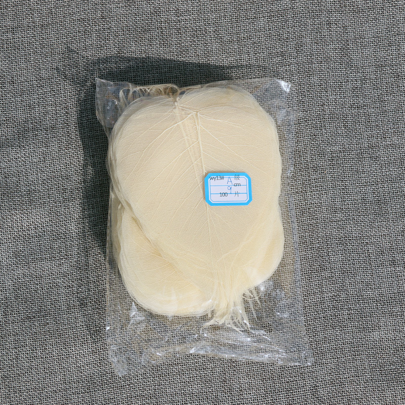 Bodhi list so žilami – sušený list so žilami, nezafarbený, určený na nástennú dekoráciu a materiál na záložku