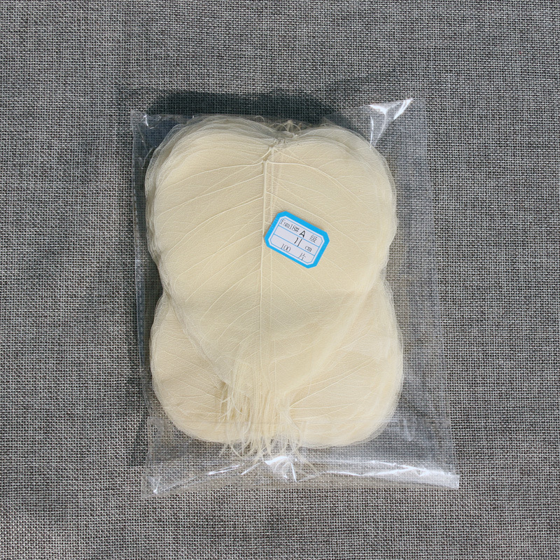 Bodhi list so žilami – sušený list so žilami, nezafarbený, určený na nástennú dekoráciu a materiál na záložku